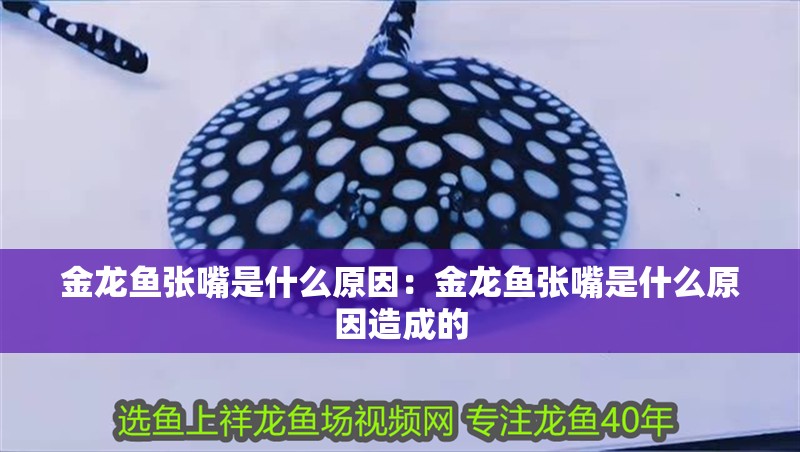 金龍魚張嘴是什么原因：金龍魚張嘴是什么原因造成的 金龍魚張嘴是什么原因：金龍魚張嘴是什么原因造成的 水族問答