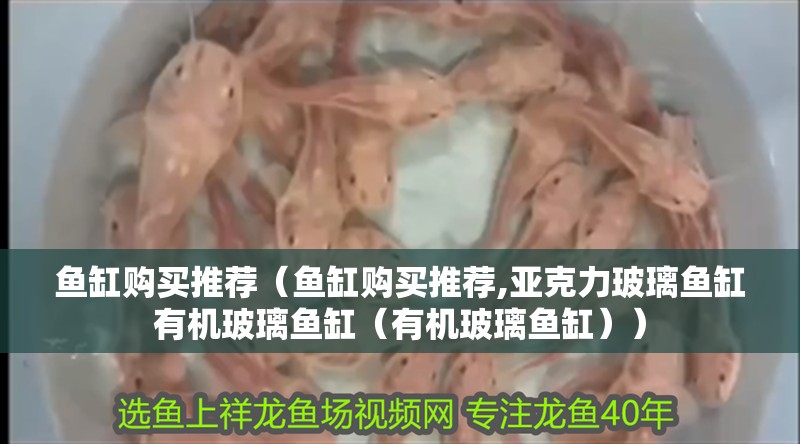 魚缸購買推薦（魚缸購買推薦,亞克力玻璃魚缸有機玻璃魚缸（有機玻璃魚缸））