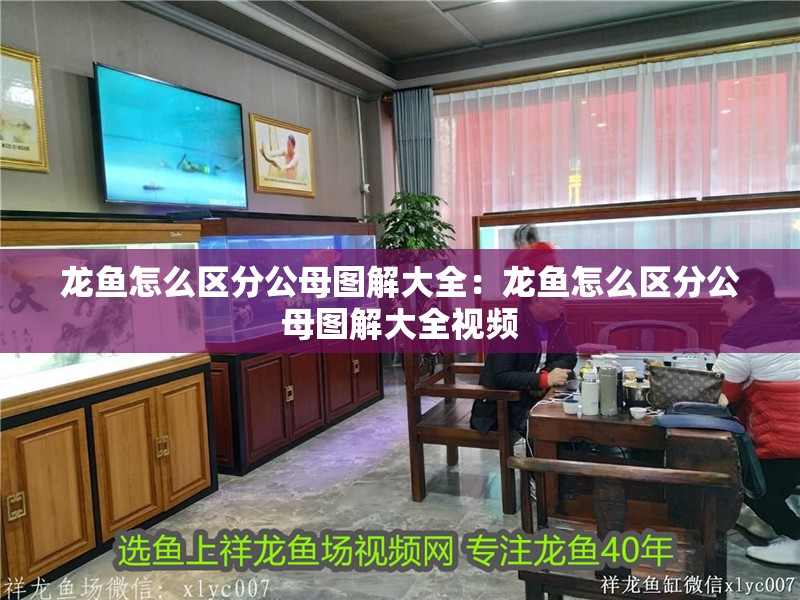 龍魚怎么區分公母圖解大全：龍魚怎么區分公母圖解大全視頻