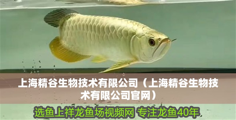 上海精谷生物技術有限公司(上海精谷生物技術有限公司官網) 全國水族館企業名錄 第2張 上海精谷生物技術有限公司(上海精谷生物技術有限公司官網) 上海精谷生物技術有限公司(上海精谷生物技術有限公司官網) 全國水族館企業名錄 第2張