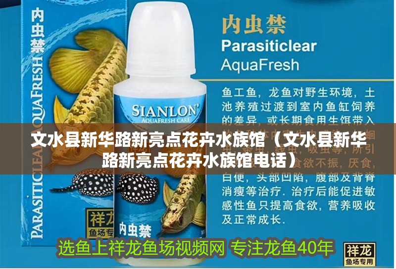 文水縣新華路新亮點花卉水族館（文水縣新華路新亮點花卉水族館電話） 文水縣新華路新亮點花卉水族館（文水縣新華路新亮點花卉水族館電話） 全國水族館企業名錄 第2張