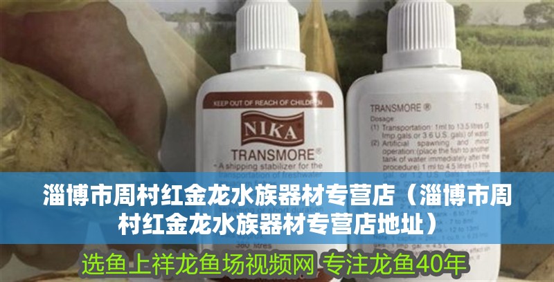 淄博市周村紅金龍水族器材專營店(淄博市周村紅金龍水族器材專營店地址) 全國水族館企業名錄 第2張 淄博市周村紅金龍水族器材專營店(淄博市周村紅金龍水族器材專營店地址) 淄博市周村紅金龍水族器材專營店(淄博市周村紅金龍水族器材專營店地址) 全國水族館企業名錄 第2張
