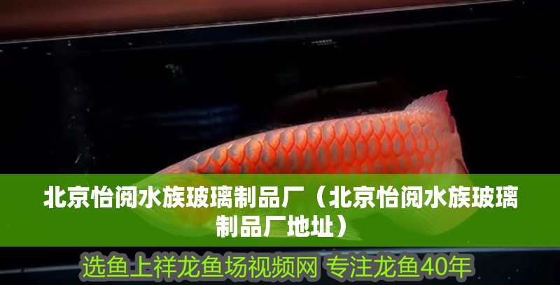 北京怡閱水族玻璃制品廠（北京怡閱水族玻璃制品廠地址） 北京怡閱水族玻璃制品廠（北京怡閱水族玻璃制品廠地址） 全國水族館企業名錄 第2張