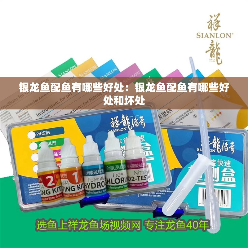 銀龍魚配魚有哪些好處：銀龍魚配魚有哪些好處和壞處