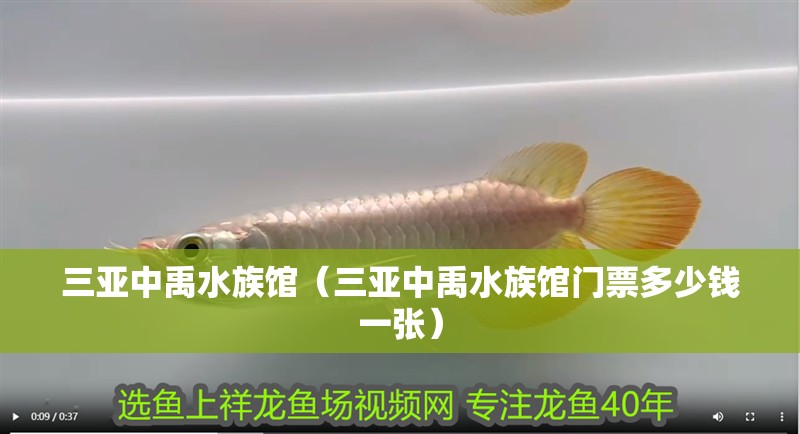 三亞中禹水族館（三亞中禹水族館門票多少錢一張）