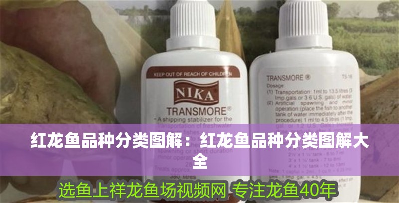 紅龍魚品種分類圖解：紅龍魚品種分類圖解大全