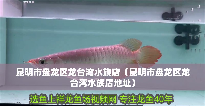 昆明市盤龍區(qū)龍臺(tái)灣水族店（昆明市盤龍區(qū)龍臺(tái)灣水族店地址）