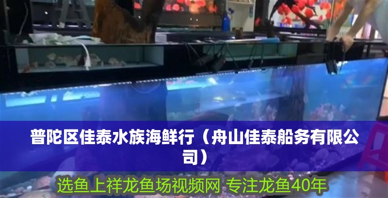 普陀區佳泰水族海鮮行（舟山佳泰船務有限公司）