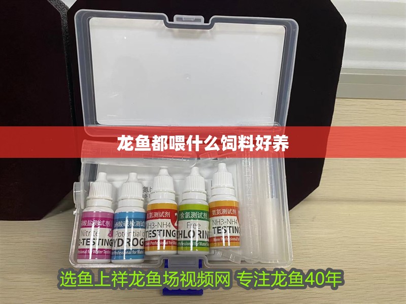 龍魚都喂什么飼料好養(yǎng) 龍魚都喂什么飼料好養(yǎng) 龍魚百科 第3張