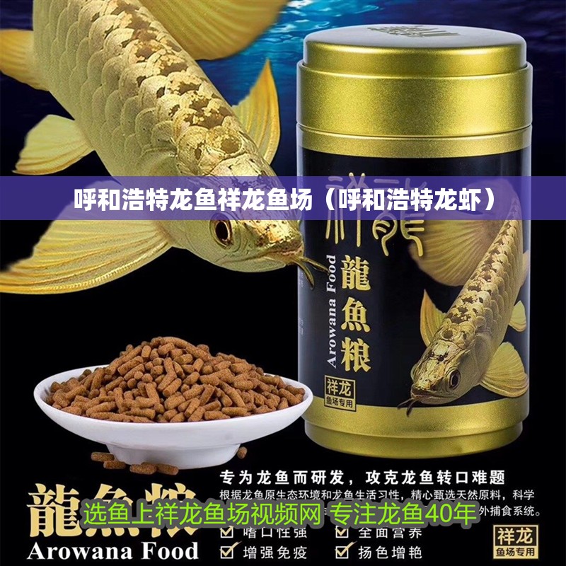 呼和浩特龍魚祥龍魚場（呼和浩特龍蝦） 呼和浩特龍魚祥龍魚場（呼和浩特龍蝦） vs祥龍魚場