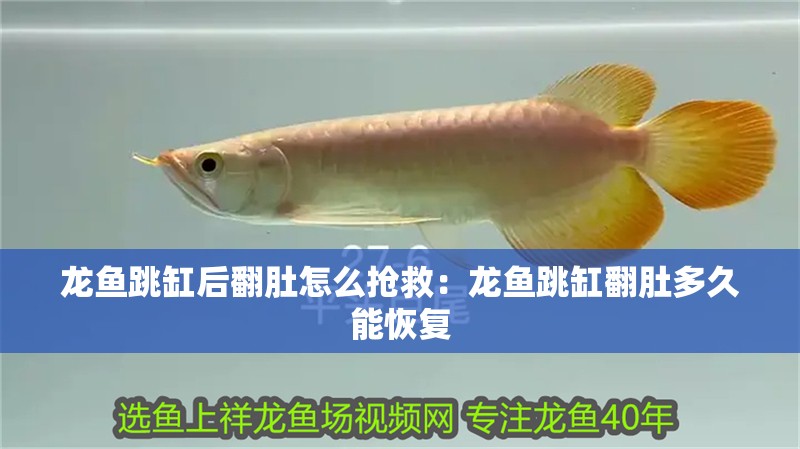紅龍魚(yú)怎么樣換食用鹽水：如何自制紅龍魚(yú)專(zhuān)用鹽水