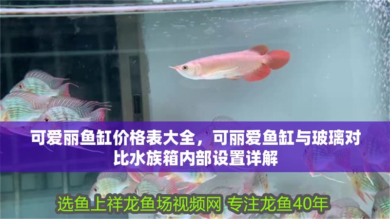 可愛麗魚缸價格表大全，可麗愛魚缸與玻璃對比水族箱內(nèi)部設(shè)置詳解