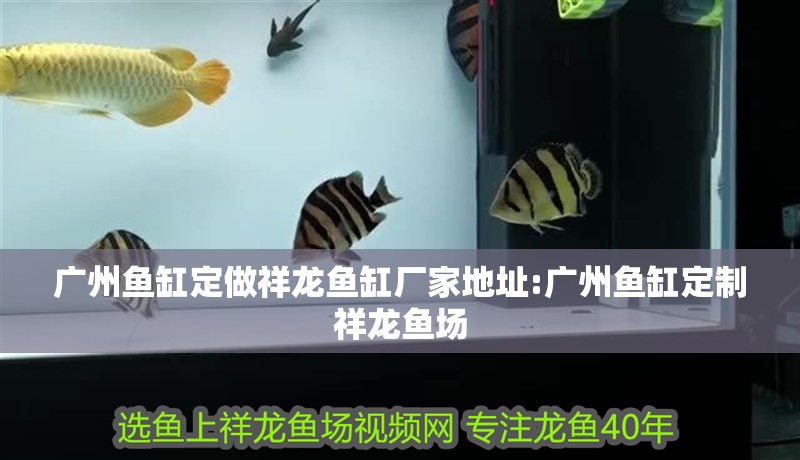 廣州魚缸定做祥龍魚缸廠家地址:廣州魚缸定制祥龍魚場