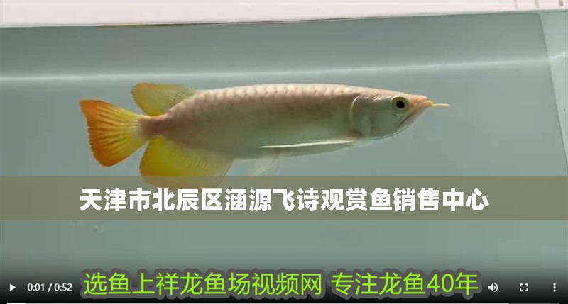 天津市北辰區(qū)涵源飛詩觀賞魚銷售中心
