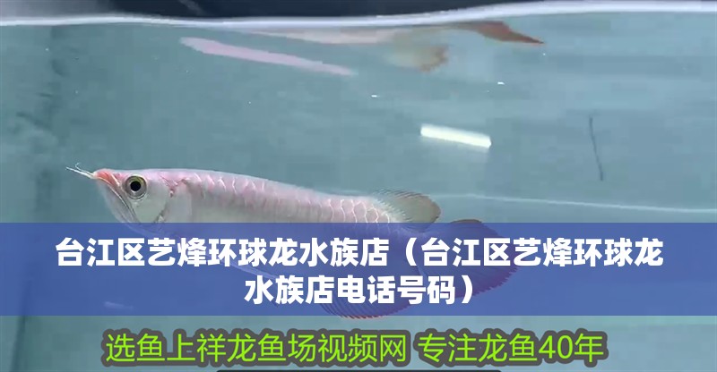 臺江區藝烽環球龍水族店(臺江區藝烽環球龍水族店電話號碼) 全國水族館企業名錄 第2張 臺江區藝烽環球龍水族店(臺江區藝烽環球龍水族店電話號碼) 臺江區藝烽環球龍水族店(臺江區藝烽環球龍水族店電話號碼) 全國水族館企業名錄 第2張