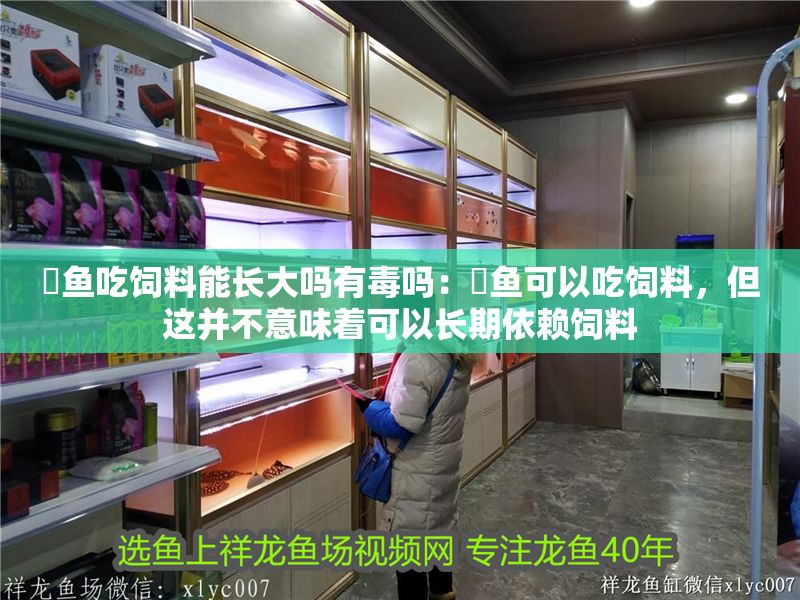 魟魚吃飼料能長大嗎有毒嗎：魟魚可以吃飼料，但這并不意味著可以長期依賴飼料