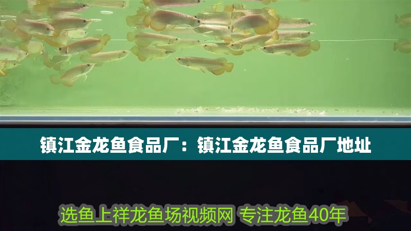 鎮江金龍魚食品廠：鎮江金龍魚食品廠地址