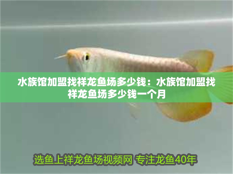 水族館加盟找祥龍魚場多少錢：水族館加盟找祥龍魚場多少錢一個月