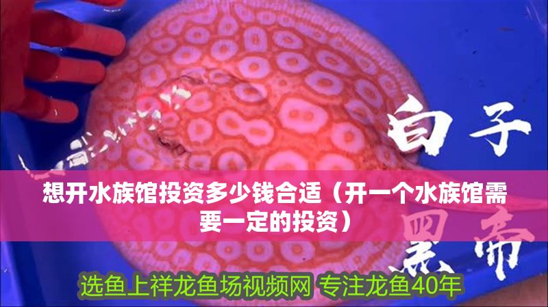 想開水族館投資多少錢合適（開一個水族館需要一定的投資）