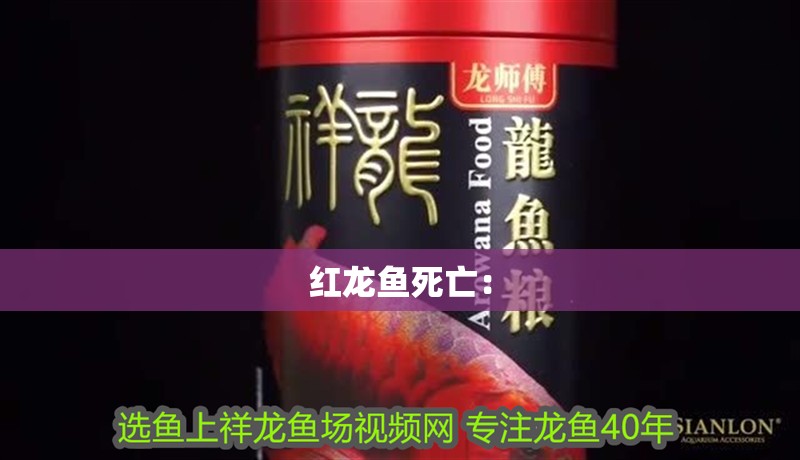 紅龍魚死亡：