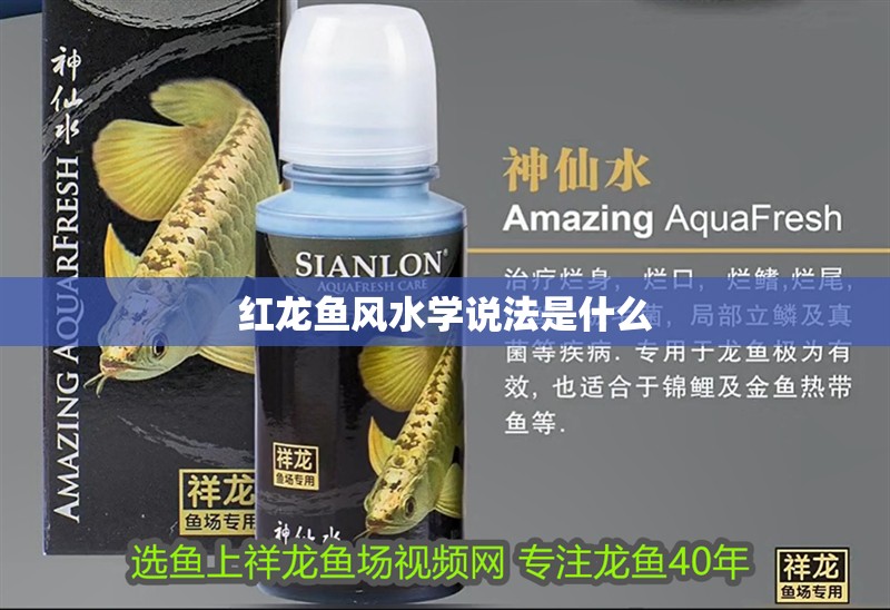 紅龍魚風水學說法是什么