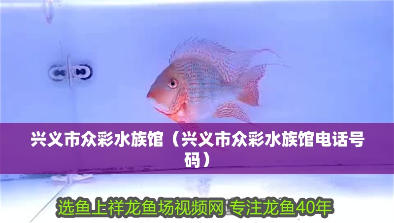 興義市眾彩水族館（興義市眾彩水族館電話號碼）