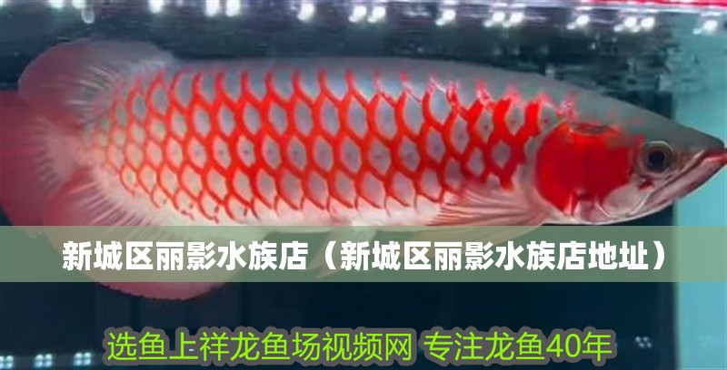新城區麗影水族店（新城區麗影水族店地址） 新城區麗影水族店（新城區麗影水族店地址） 全國水族館企業名錄 第2張