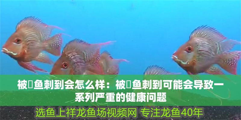被魟魚刺到會怎么樣：被魟魚刺到可能會導(dǎo)致一系列嚴(yán)重的健康問題