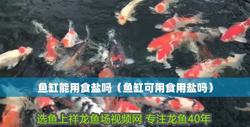魚缸能用食鹽嗎（魚缸可用食用鹽嗎）