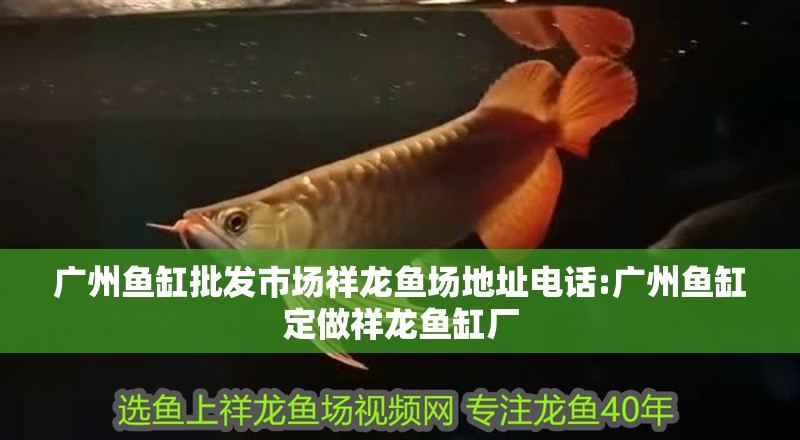魚缸用增氧泵價格是多少:魚缸增氧機-xtrac增氧機-xtrac增氧機 廣州魚缸批發(fā)市場祥龍魚場地址電話:廣州魚缸定做祥龍魚缸廠 vs祥龍魚場 廣州魚缸批發(fā)市場祥龍魚場地址電話:廣州魚缸定做祥龍魚缸廠 廣州魚缸批發(fā)市場祥龍魚場地址電話:廣州魚缸定做祥龍魚缸廠 vs祥龍魚場