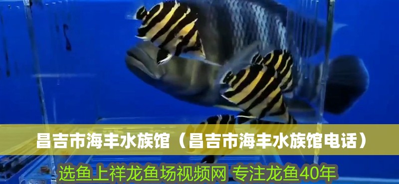 昌吉市海豐水族館（昌吉市海豐水族館電話） 昌吉市海豐水族館（昌吉市海豐水族館電話） 全國水族館企業名錄 第3張