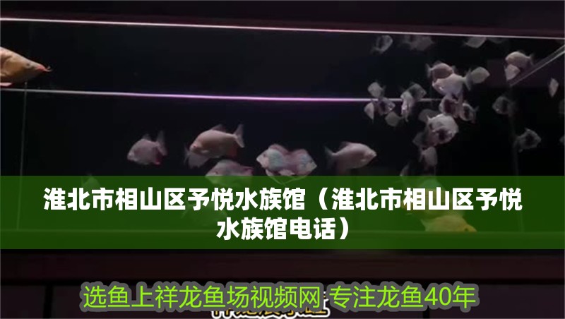 淮北市相山區予悅水族館（淮北市相山區予悅水族館電話）