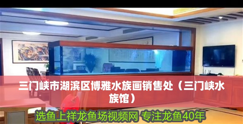 三門峽市湖濱區博雅水族畫銷售處（三門峽水族館）