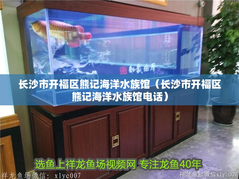 長沙市開福區熊記海洋水族館（長沙市開福區熊記海洋水族館電話） 長沙市開福區熊記海洋水族館（長沙市開福區熊記海洋水族館電話） 全國水族館企業名錄 第2張