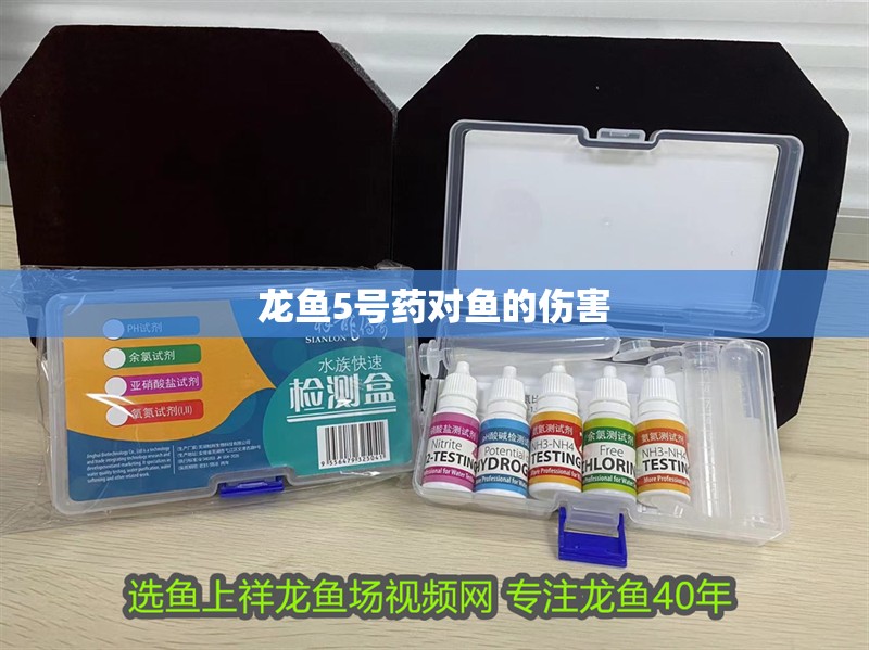 龍魚5號藥對魚的傷害