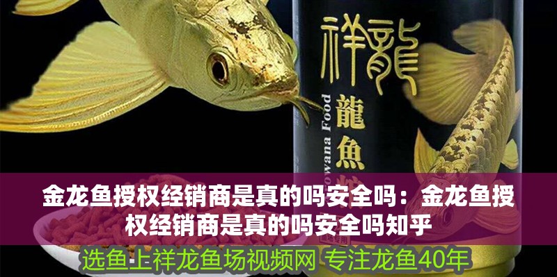 金龍魚授權(quán)經(jīng)銷商是真的嗎安全嗎：金龍魚授權(quán)經(jīng)銷商是真的嗎安全嗎知乎