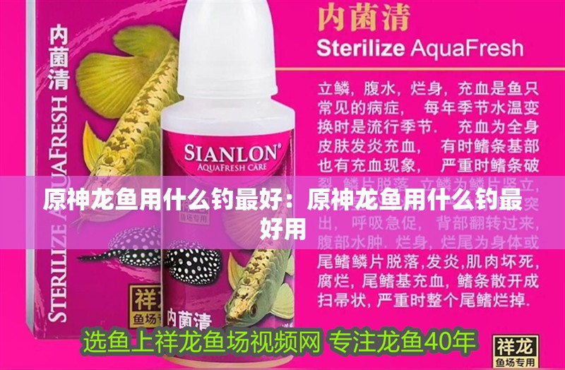 原神龍魚用什么釣最好：原神龍魚用什么釣最好用