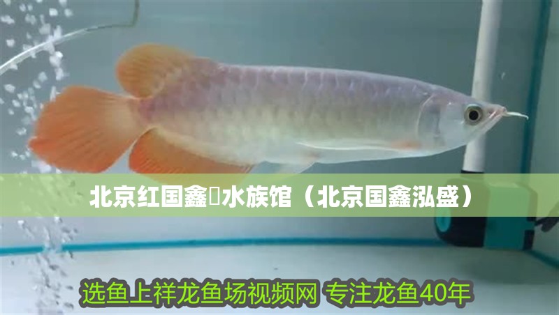 北京紅國鑫垚水族館（北京國鑫泓盛）