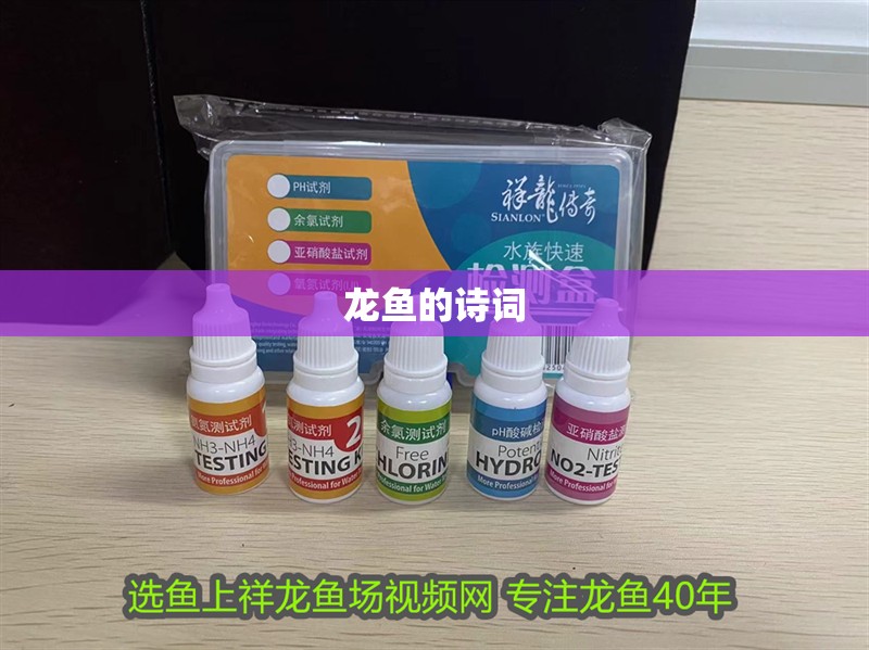 龍魚的詩詞 龍魚的詩詞 龍魚百科 第3張