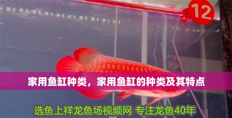 家用魚缸種類，家用魚缸的種類及其特點
