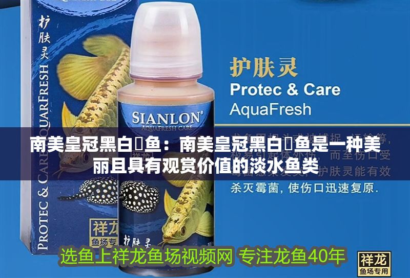 南美皇冠黑白魟魚：南美皇冠黑白魟魚是一種美麗且具有觀賞價值的淡水魚類