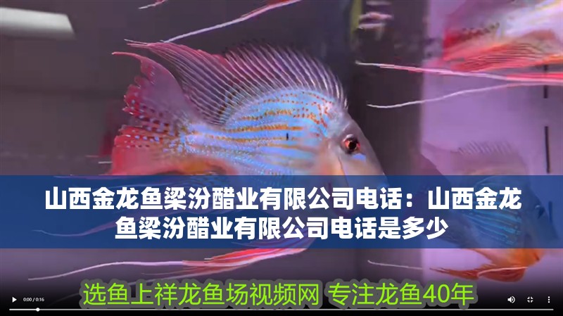 <strong><mark>山西</mark></strong>金龍魚梁汾醋業有限公司電話：<strong><mark>山西</mark></strong>金龍魚梁汾醋業有限公司電話是多少