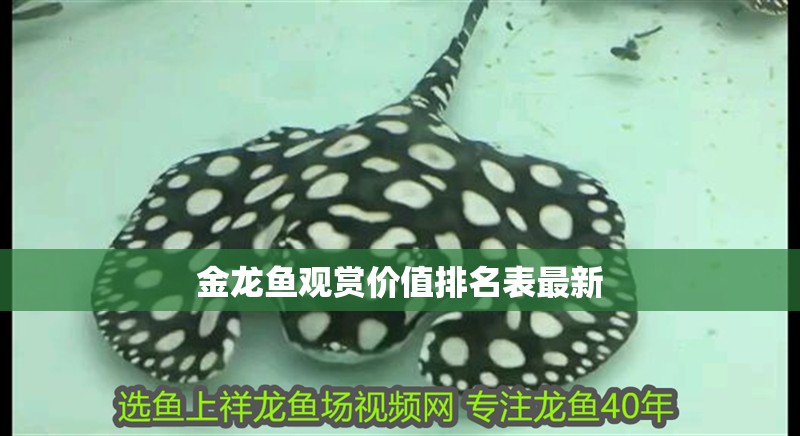 金龍魚(yú)觀賞價(jià)值排名表最新