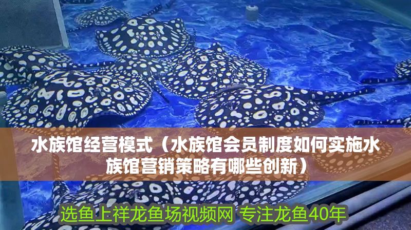 水族館經營模式（水族館會員制度如何實施水族館營銷策略有哪些創新） 水族館經營模式（水族館會員制度如何實施水族館營銷策略有哪些創新） 水族館百科（水族館加盟） 第1張