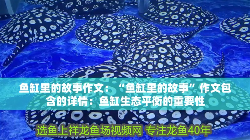 魚缸里的故事作文：“魚缸里的故事”作文包含的詳情：魚缸生態(tài)平衡的重要性