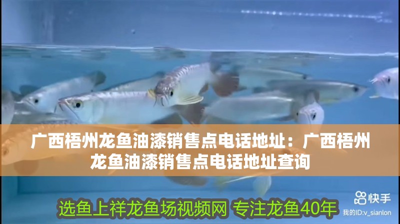 廣西梧州龍魚油漆銷售點(diǎn)電話地址：廣西梧州龍魚油漆銷售點(diǎn)電話地址查詢