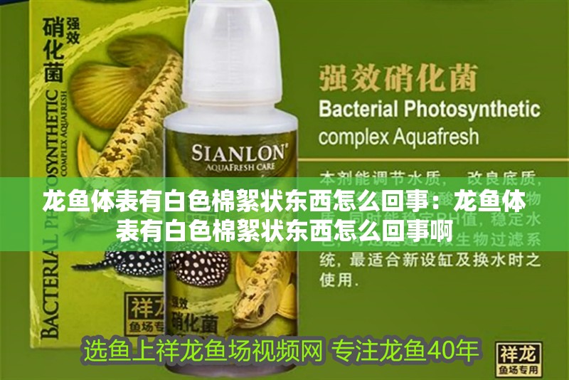 龍魚體表有白色棉絮狀東西怎么回事:龍魚體表有白色棉絮狀東西怎么回事啊 水族問答 龍魚體表有白色棉絮狀東西怎么回事:龍魚體表有白色棉絮狀東西怎么回事啊 龍魚體表有白色棉絮狀東西怎么回事:龍魚體表有白色棉絮狀東西怎么回事啊 水族問答