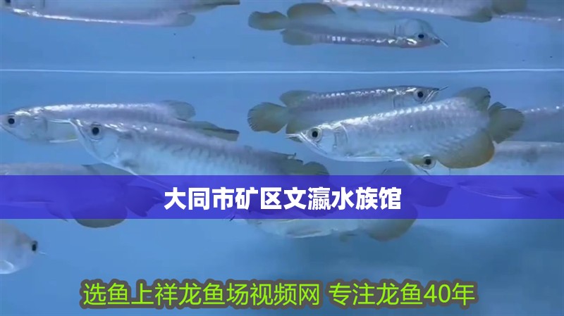 大同市礦區(qū)文瀛水族館