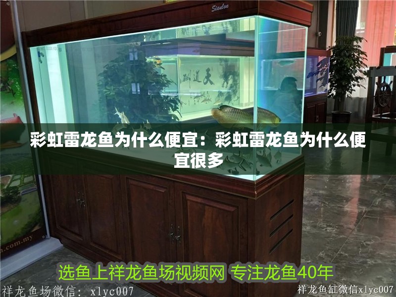 彩虹雷龍魚為什么便宜：彩虹雷龍魚為什么便宜很多