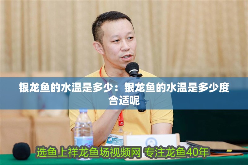 銀龍魚的水溫是多少：銀龍魚的水溫是多少度合適呢 銀龍魚的水溫是多少：銀龍魚的水溫是多少度合適呢 水族問答